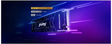 Kingston FURY Renegade PCIe 4.0 NVMe M.2 sisäinen SSD muisti (1 TB)