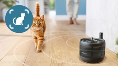Philips Pet Series vesilähde lemmikeille PAW3210/02 (musta)