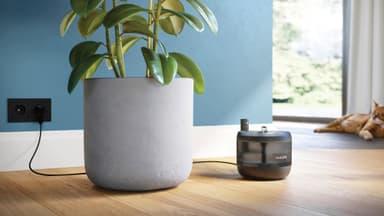 Philips Pet Series vesilähde lemmikeille PAW3210/02 (musta)