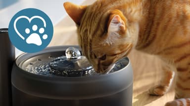 Philips Pet Series vesilähde lemmikeille PAW3210/02 (musta)
