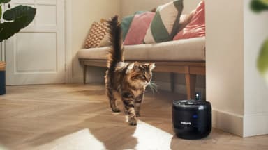 Philips Pet Series vesilähde lemmikeille PAW3210/02 (musta)