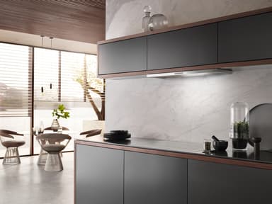 Miele Liesituuletin DAS 2920