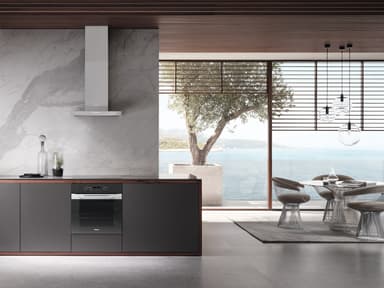 Miele Liesituuletin DAW 1620 Active