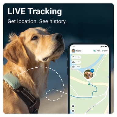  Tractive DOG XL koiran GPS-paikannin (vihreä)