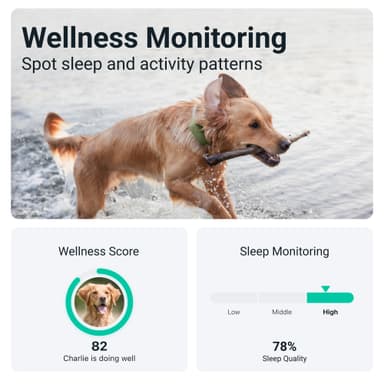  Tractive DOG XL koiran GPS-paikannin (vihreä)