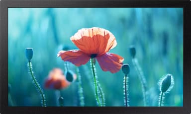 Samsung 13" QB13R-T 16/7 500 nits interactive signage