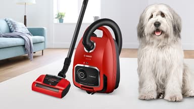 Bosch Serie 6 ProAnimal pölynimuri BGL6PET1