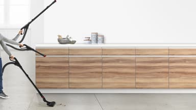 Bosch Serie 6 ProAnimal pölynimuri BGL6PET1