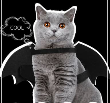 Halloween-asu Batman koiralle/kissalle (koko L)