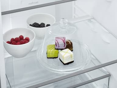 SIEMENS KG36NVIER Fridge/freez