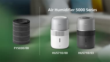 Philips 5000 Series ilmankostuttimen suodatin FY5030/00