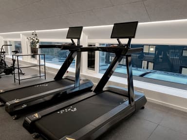Witt Smart Run Pro