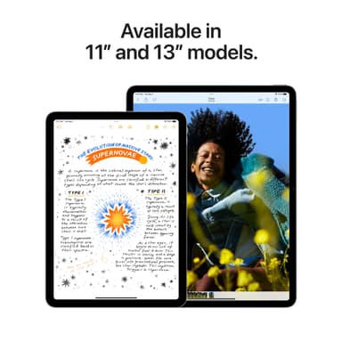 iPad Air 11 M2 1 TB WiFi + Cellular (tähtivalkea)