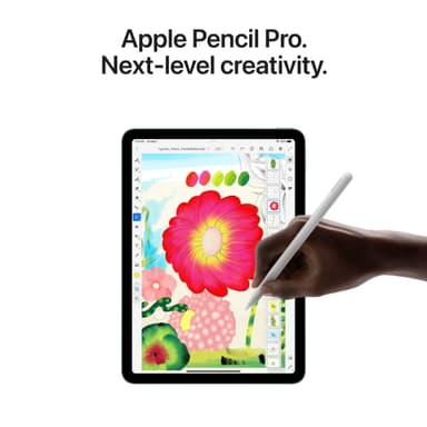 iPad Air 13 M2 1 TB WiFi + Cellular (tähtiharmaa)