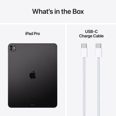 iPad Pro 13" M4 2 TB WiFi + 5G (tähtimusta)