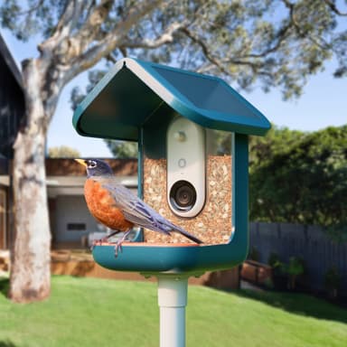 Bird Buddy Solar lintujen ruokintalaite kameralla (sininen)