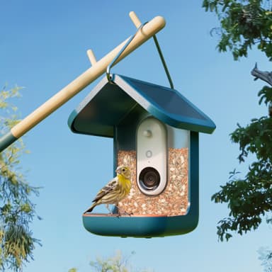 Bird Buddy Solar lintujen ruokintalaite kameralla (sininen)
