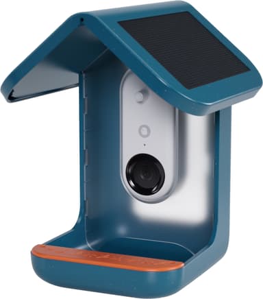 Bird Buddy Solar lintujen ruokintalaite kameralla (sininen)
