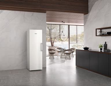Miele Kaappipakastin FNS 4382 D N