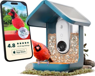 Bird Buddy Solar lintujen ruokintalaite kameralla (sininen)