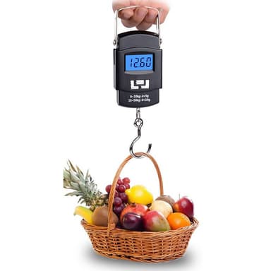 Riippuvaaka koukulla 50kg / 10g