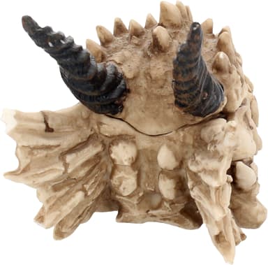 Nemesis Now Dragon Skull arkku