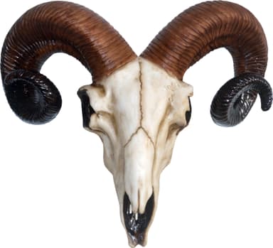 Nemesis Now Rams Skull figuuri