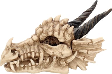 Nemesis Now Dragon Skull arkku