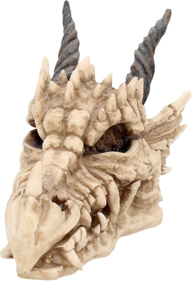 Nemesis Now Dragon Skull arkku