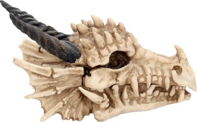 Nemesis Now Dragon Skull arkku