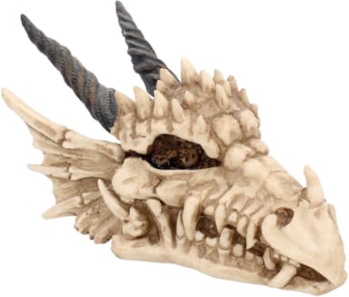 Nemesis Now Dragon Skull arkku