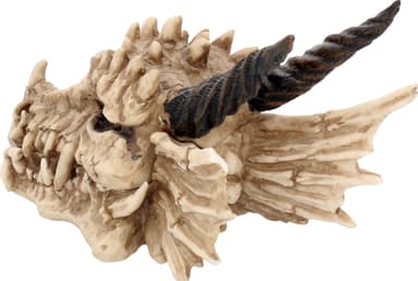 Nemesis Now Dragon Skull arkku