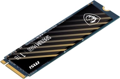 MSI Spatium M450 M.2 SSD (1 TB)