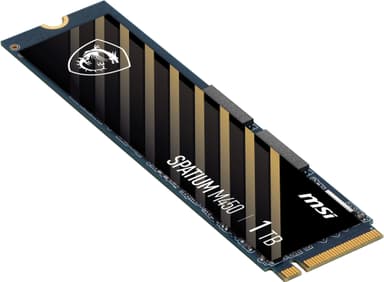 MSI Spatium M450 M.2 SSD (1 TB)