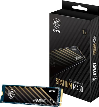 MSI Spatium M450 M.2 SSD (1 TB)