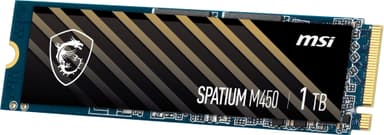 MSI Spatium M450 M.2 SSD (1 TB)