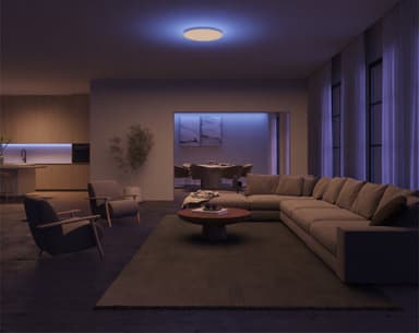 Philips Hue Datura S pyöreä kattovalaisin 48 W