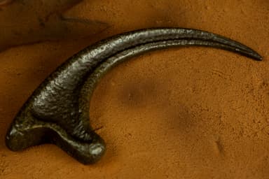 Doctor Collector Jurassic Park figuuri (Raptor Claw)