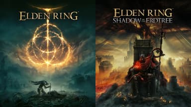 ELDEN RING Shadow of the Erdtree Edition - PC Windows