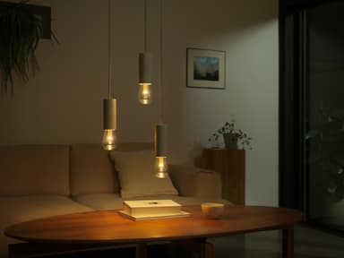 Philips Hue Lightguide LED lamppu 6,8 W E27