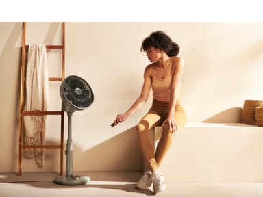 Stand fan Whisper Grey