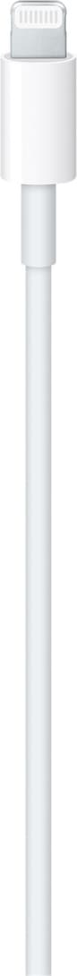 Apple USB-C - Lightning kaapeli (2 m)