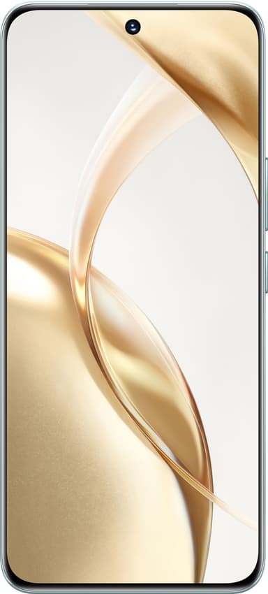 DEMO HONOR 200 8GB+256GB Emerald Green RDU