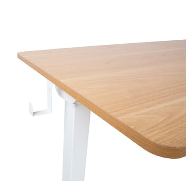 Työpöytä ERGO 1-moottorilla 120x60xH73-121cm, valkoinen/tammi