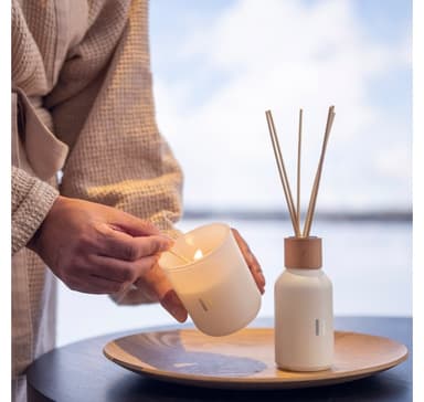 Tuoksukynttilä RENTO BIRCH