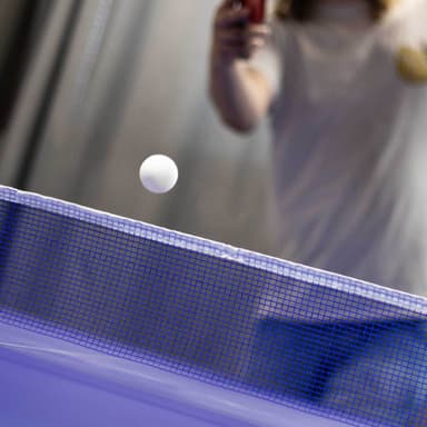 Prosport Pingispöytä Elite