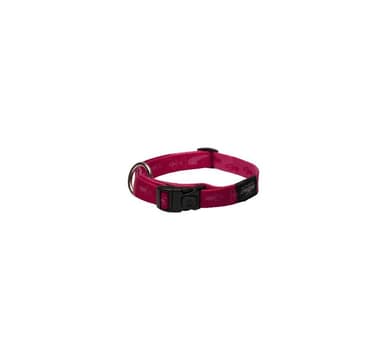 Koiran kaulapanta K2 20mm/34-56cm pinkki, Rogz