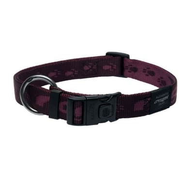 Koiran kaulapanta Everest 25mm/43-70cm violetti, Rogz