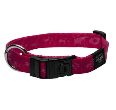 Koiran kaulapanta Everest 25mm/43-70cm pinkki, Rogz
