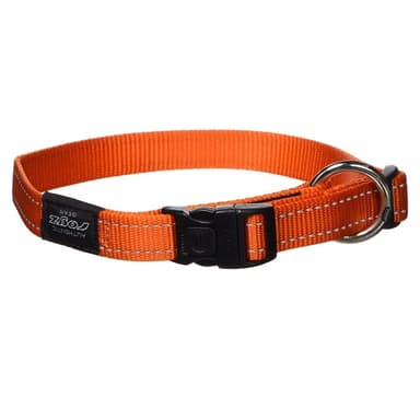 Koiran kaulapanta tuuletinvyö 20mm/34-56cm oranssi, Rogz